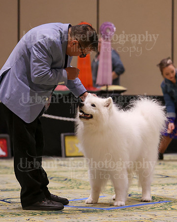 SCA2023_D8-10 VET-4685