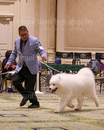 SCA2023_D8-10 VET-4688