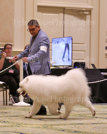 SCA2023_D8-10 VET-4698