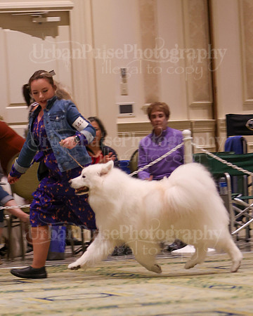 SCA2023_D8-10 VET-4723
