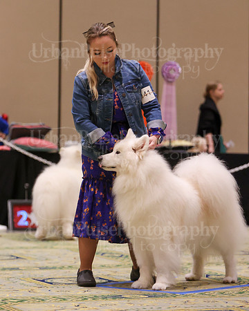 SCA2023_D8-10 VET-4706