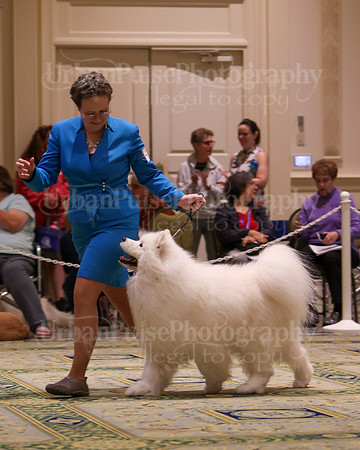 SCA2023_D8-10 VET-4728