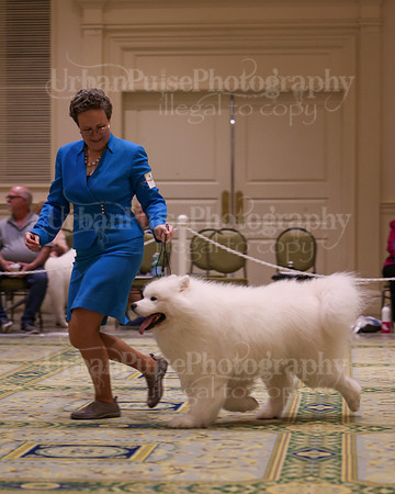 SCA2023_D8-10 VET-4733
