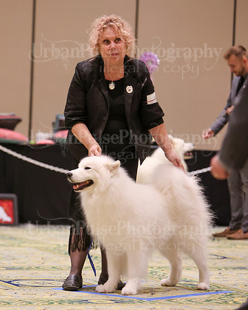SCA2023_D8-10 VET-4745