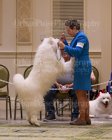 SCA2023_D8-10 VET-4746