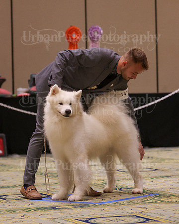SCA2023_D8-10 VET-4755