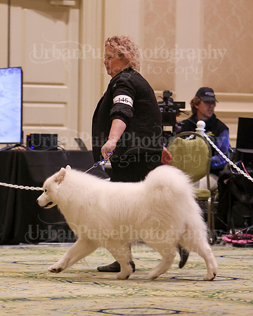 SCA2023_D8-10 VET-4758