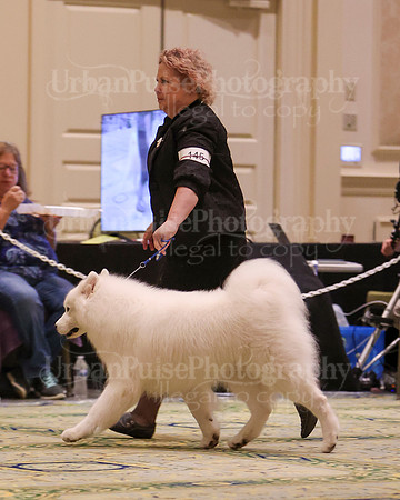 SCA2023_D8-10 VET-4759