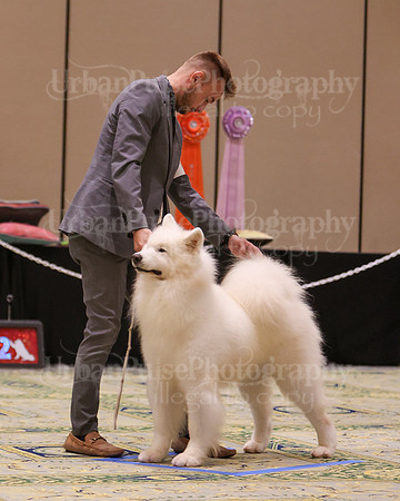 SCA2023_D8-10 VET-4756