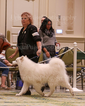 SCA2023_D8-10 VET-4764