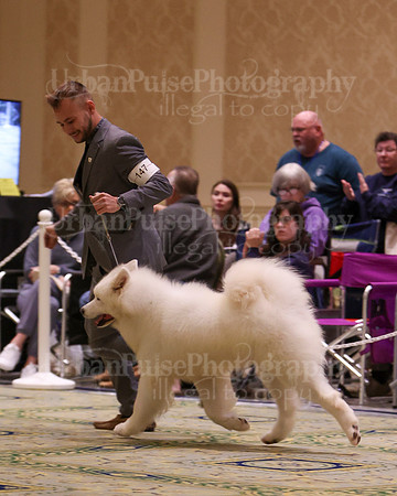 SCA2023_D8-10 VET-4780