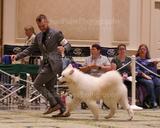 SCA2023_D8-10 VET-4784