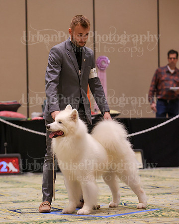 SCA2023_D8-10 VET-4770
