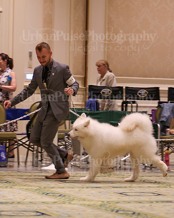SCA2023_D8-10 VET-4785