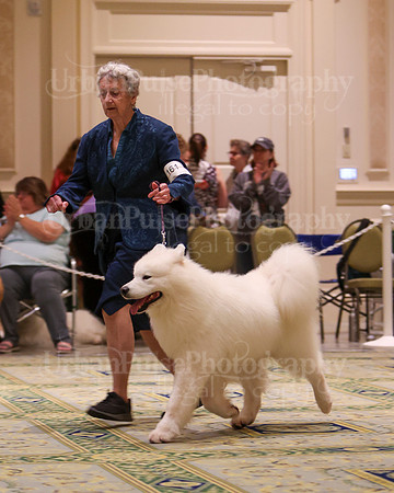 SCA2023_D8-10 VET-4791