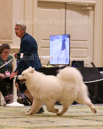 SCA2023_D8-10 VET-4799