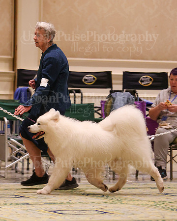 SCA2023_D8-10 VET-4801