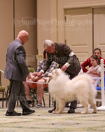 SCA2023_D8-10 VET-4805