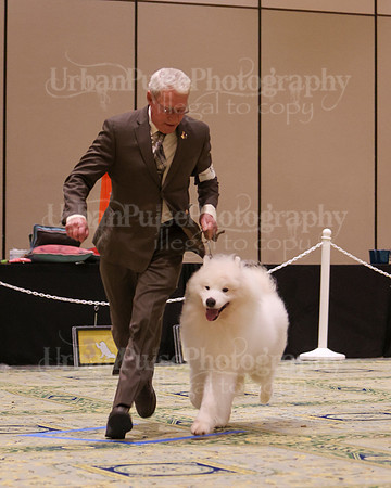 SCA2023_D8-10 VET-4808