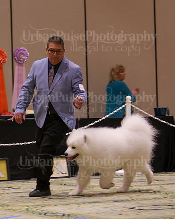 SCA2023_D8-10 VET-4814