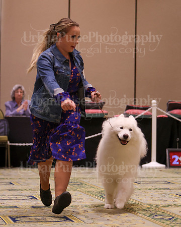 SCA2023_D8-10 VET-4823