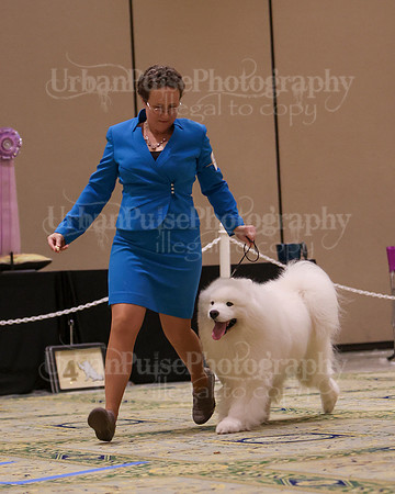 SCA2023_D8-10 VET-4828