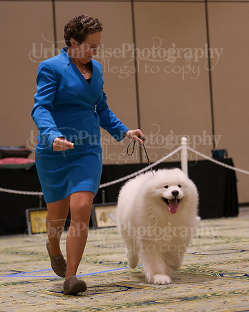 SCA2023_D8-10 VET-4830