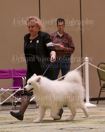 SCA2023_D8-10 VET-4833