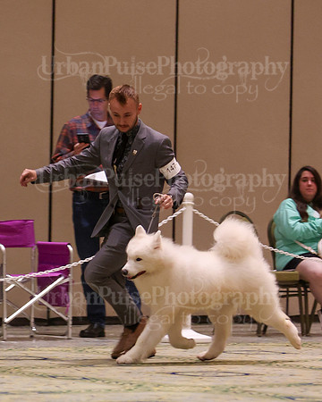 SCA2023_D8-10 VET-4838
