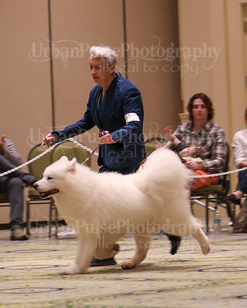 SCA2023_D8-10 VET-4844