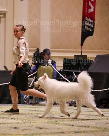 SCA2023_D10-12 VET-4916