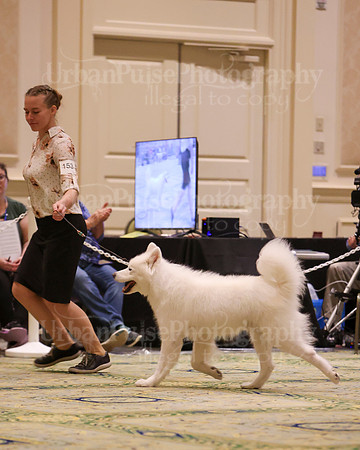 SCA2023_D10-12 VET-4917