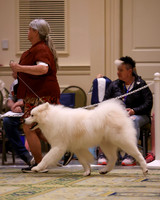 SCA2023_D WORKING-5063