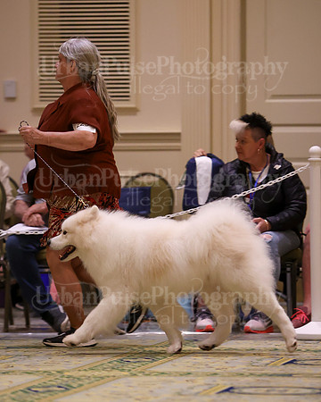 SCA2023_D WORKING-5063
