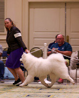 SCA2023_D WORKING-5079