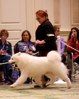 SCA2023_D WORKING-5095