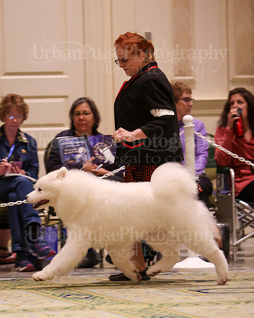 SCA2023_D WORKING-5095