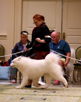 SCA2023_D WORKING-5097