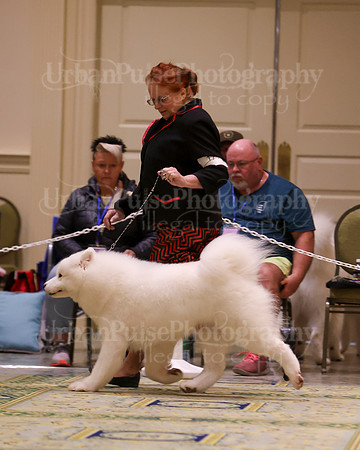 SCA2023_D WORKING-5097