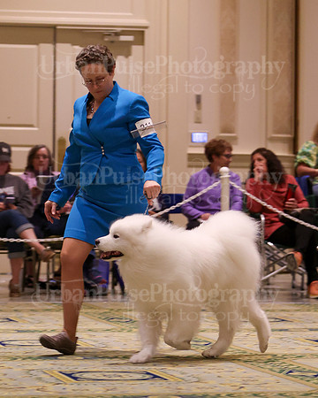 SCA2023_D WORKING-5103