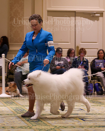 SCA2023_D WORKING-5104