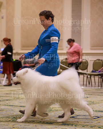 SCA2023_D WORKING-5107
