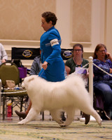 SCA2023_D WORKING-5108