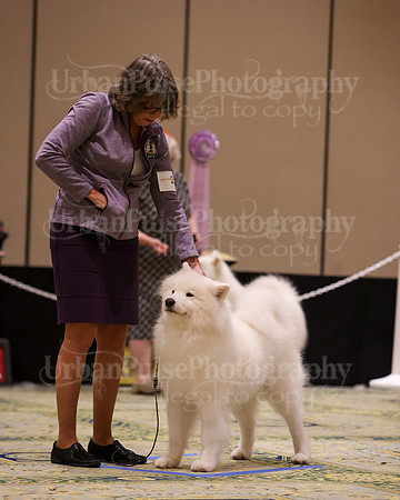 SCA2023_D WORKING-5119