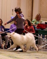 SCA2023_D WORKING-5126