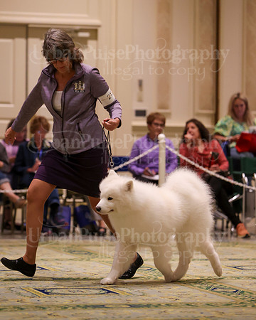 SCA2023_D WORKING-5120