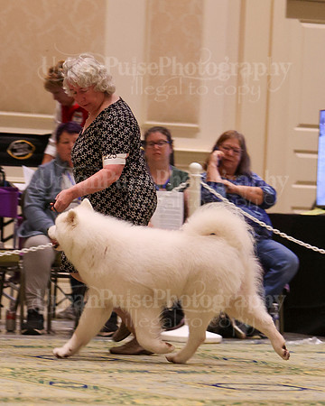 SCA2023_D WORKING-5143