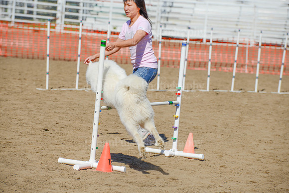 AGILITY-2267
