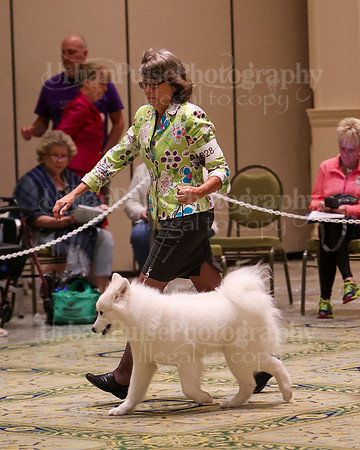 SCA2023_B AM BRED-8364