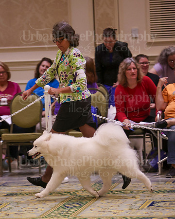 SCA2023_B BRED BY A-7580